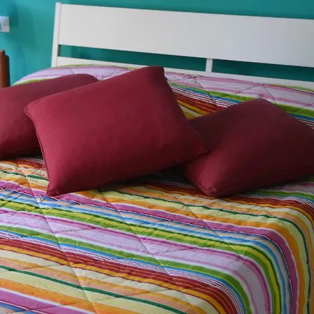 Apartment Colorful Nest